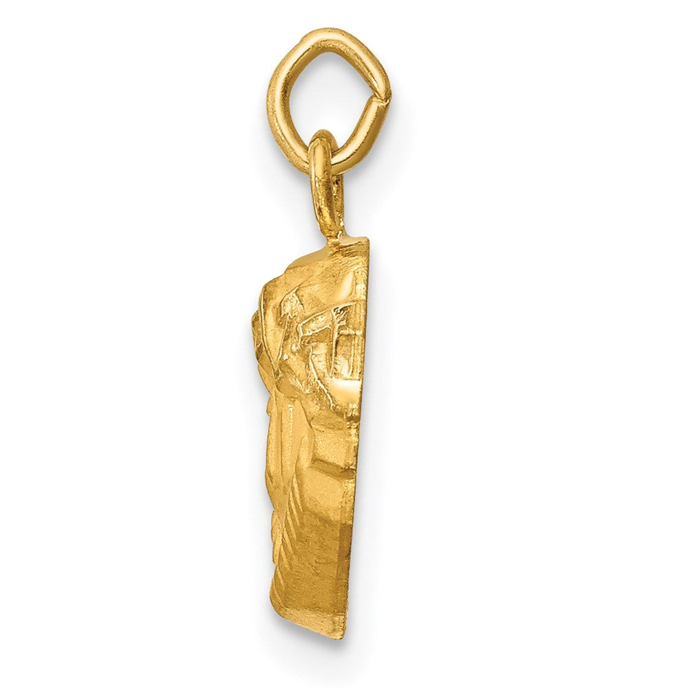 14k Yellow Gold 14k Hollow Polished/Satin Small Jesus Medal