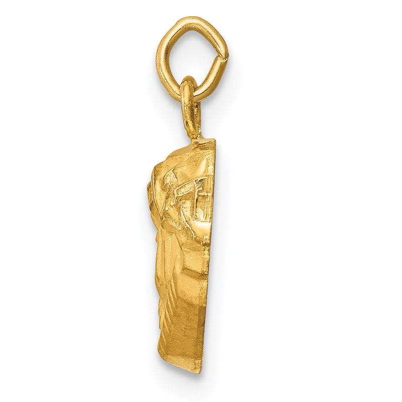 14k Yellow Gold 14k Hollow Polished/Satin Small Jesus Medal