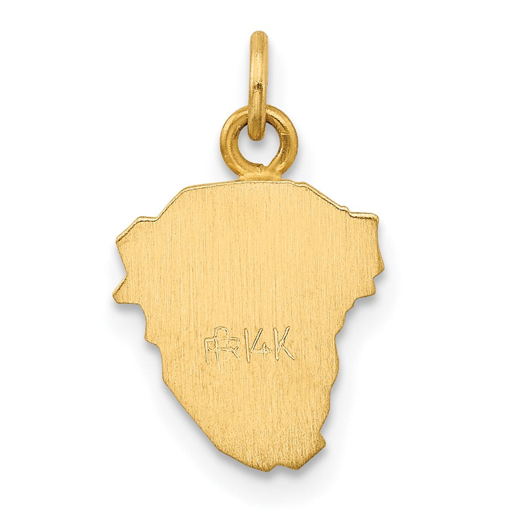 14k Yellow Gold 14k Hollow Polished/Satin Small Jesus Medal