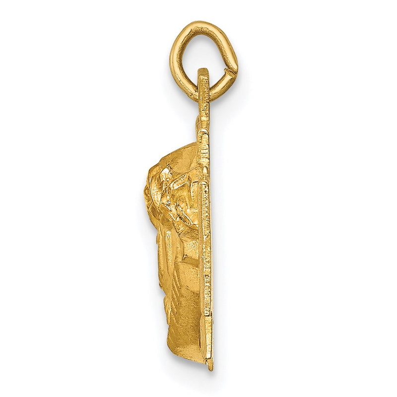 14k Yellow Gold 14k Hollow Polished/Satin Small Jesus Cross Medal