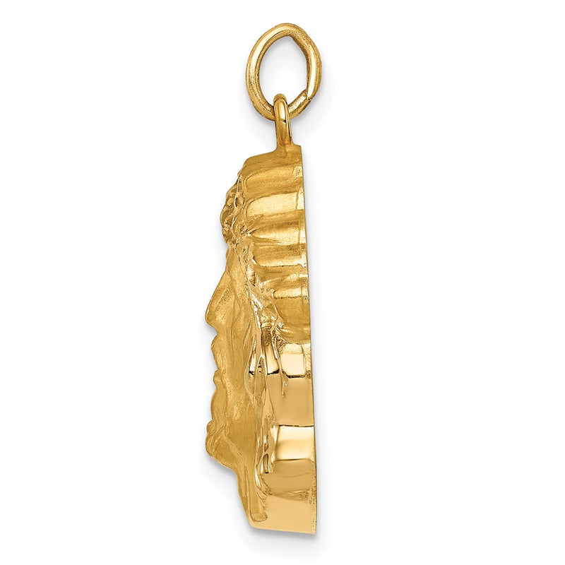 14k Yellow Gold 14k Hollow Polished/Satin Medium Jesus Medal