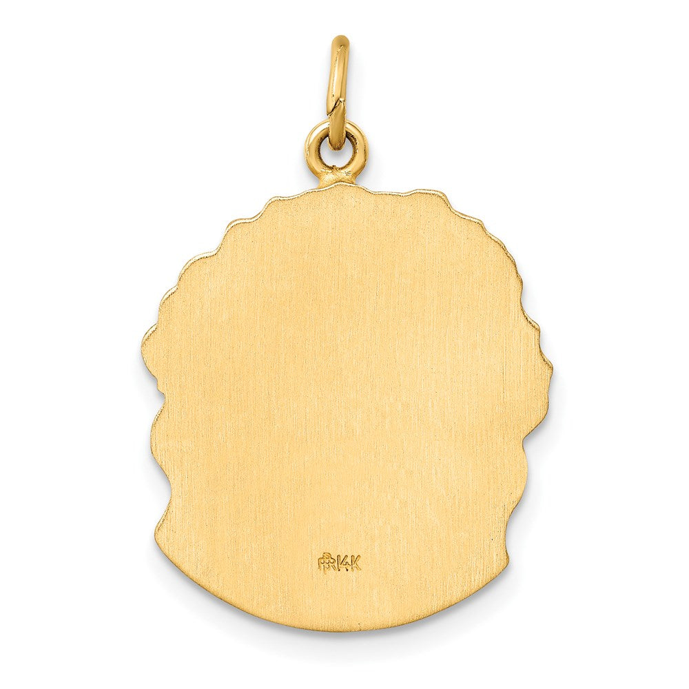 14k Yellow Gold 14k Hollow Polished/Satin Medium Jesus Medal