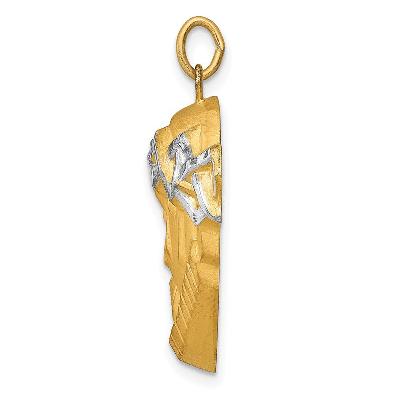 14K Yellow & Rhodium Hollow Polished/Satin Large Jesus Medal