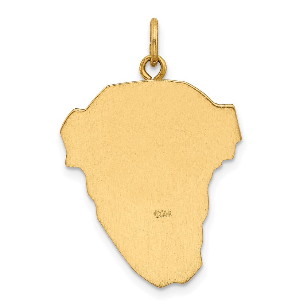 14K Yellow & Rhodium Hollow Polished/Satin Large Jesus Medal