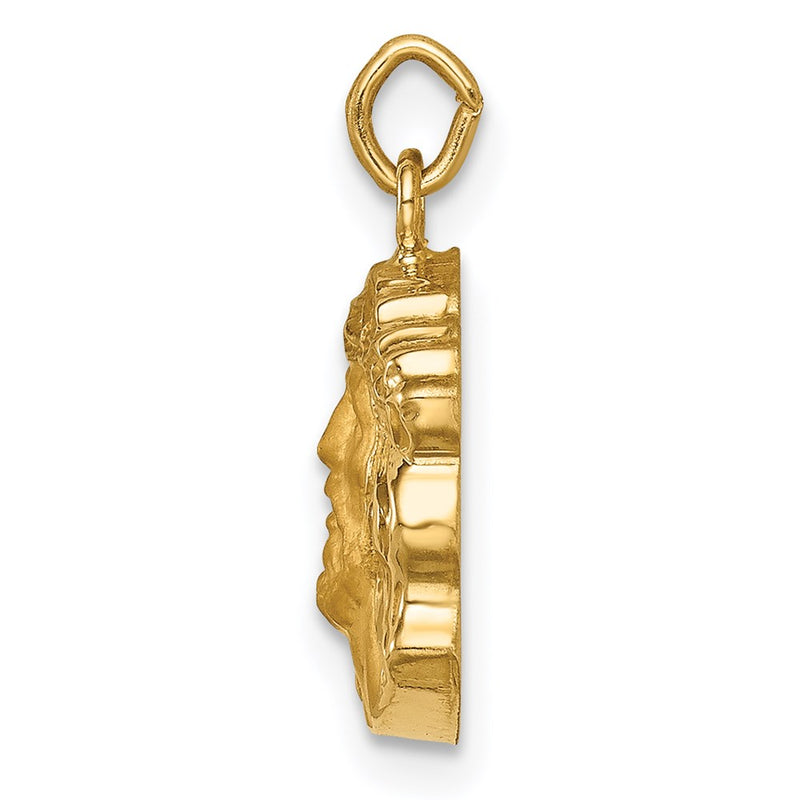 14k Yellow Gold 14k Hollow Polished/Satin Small Jesus Medal