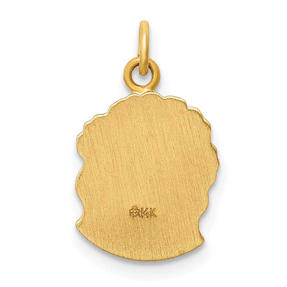 14k Yellow Gold 14k Hollow Polished/Satin Small Jesus Medal