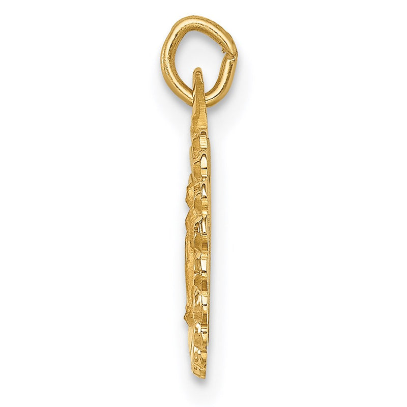 14k Yellow Gold 14k Solid Polished/Satin Tiny Round Scalloped Miraculous Medal