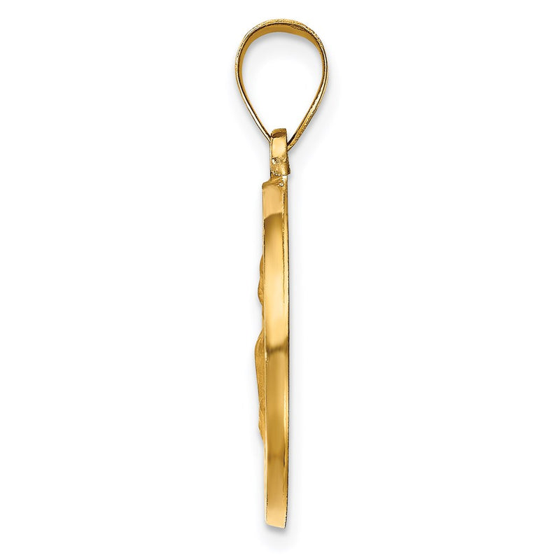 14k Yellow Gold 14k Hollow Polished/Satin Round St. Augustine Medal
