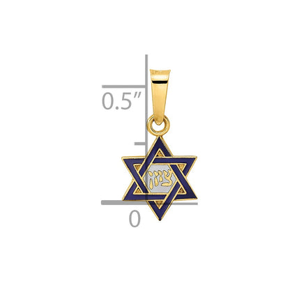 14k Yellow Gold 14k Polished and Enameled Solid Star of David Pendant