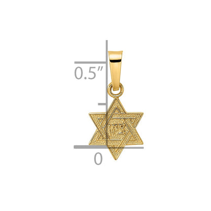 14k Yellow Gold 14k Polished & Textured Solid Star of David Pendant