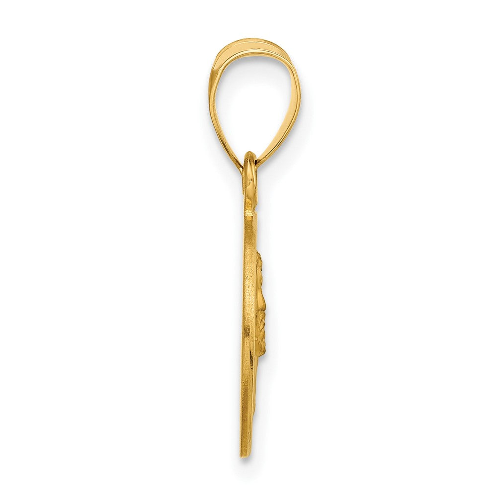 14K Yellow Gold Polished and Satin Solid Face of Jesus Medal