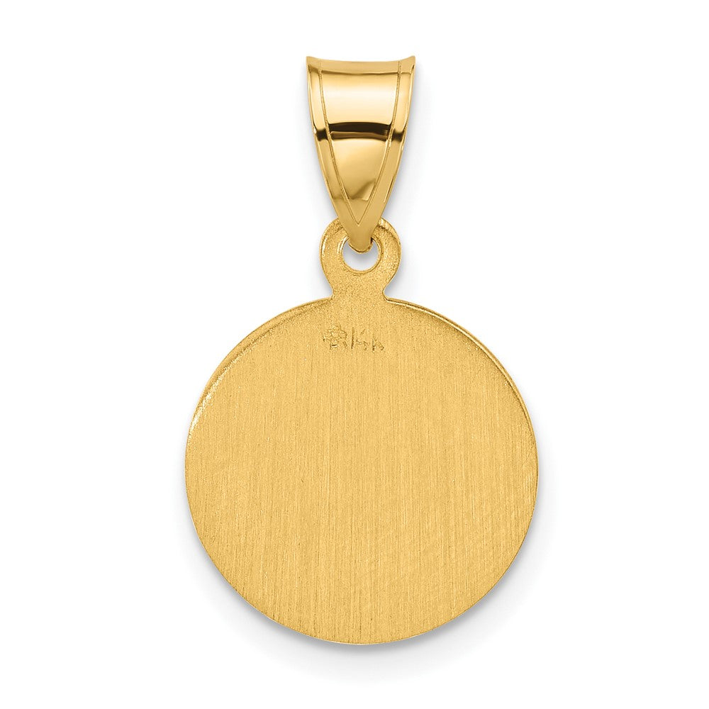 14K Yellow Gold Polished and Satin Solid Face of Jesus Medal