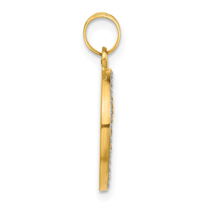 14K Yellow & Rhodium and White Rhodium Hollow Our Lady of Mt Carmel Medal