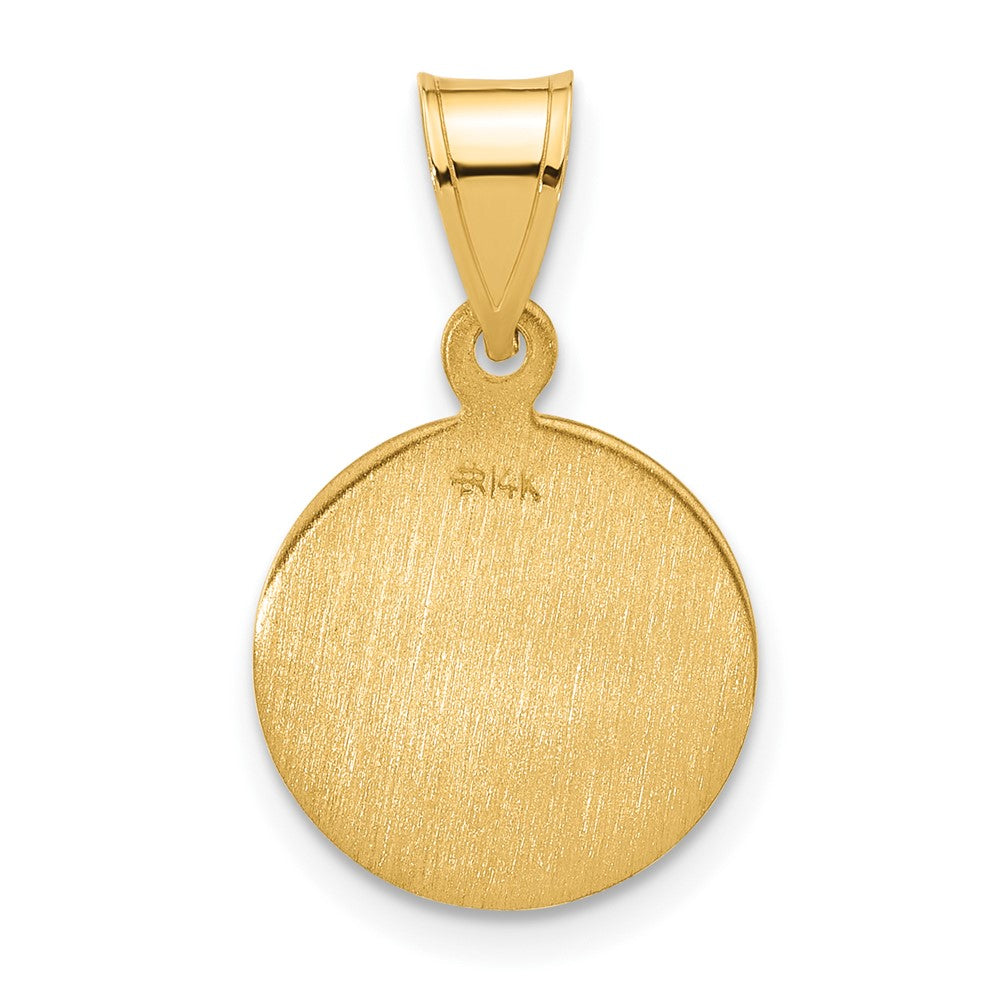 14K Yellow Gold Polished and Satin Solid Our Lady of Perpetual Help Medal