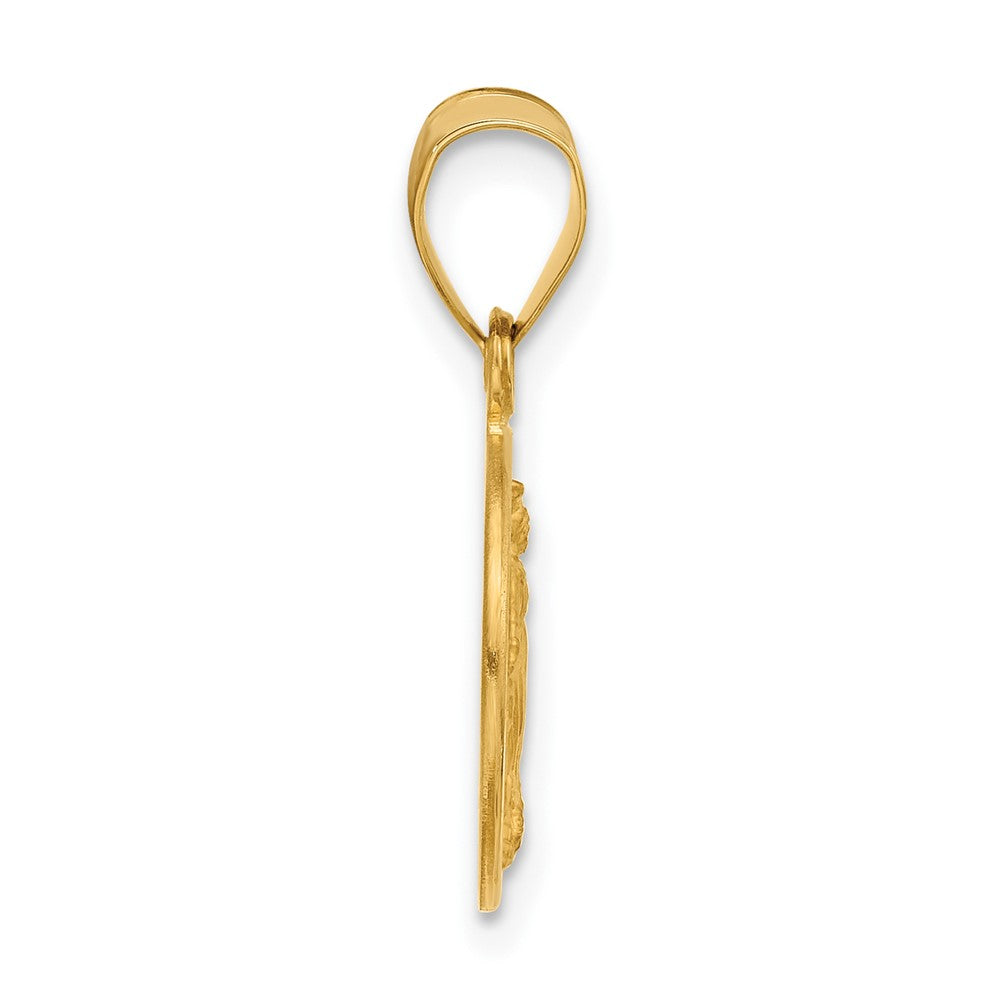 14K Yellow Gold Polished and Satin Solid Miraculous Mary Plain Back Medal