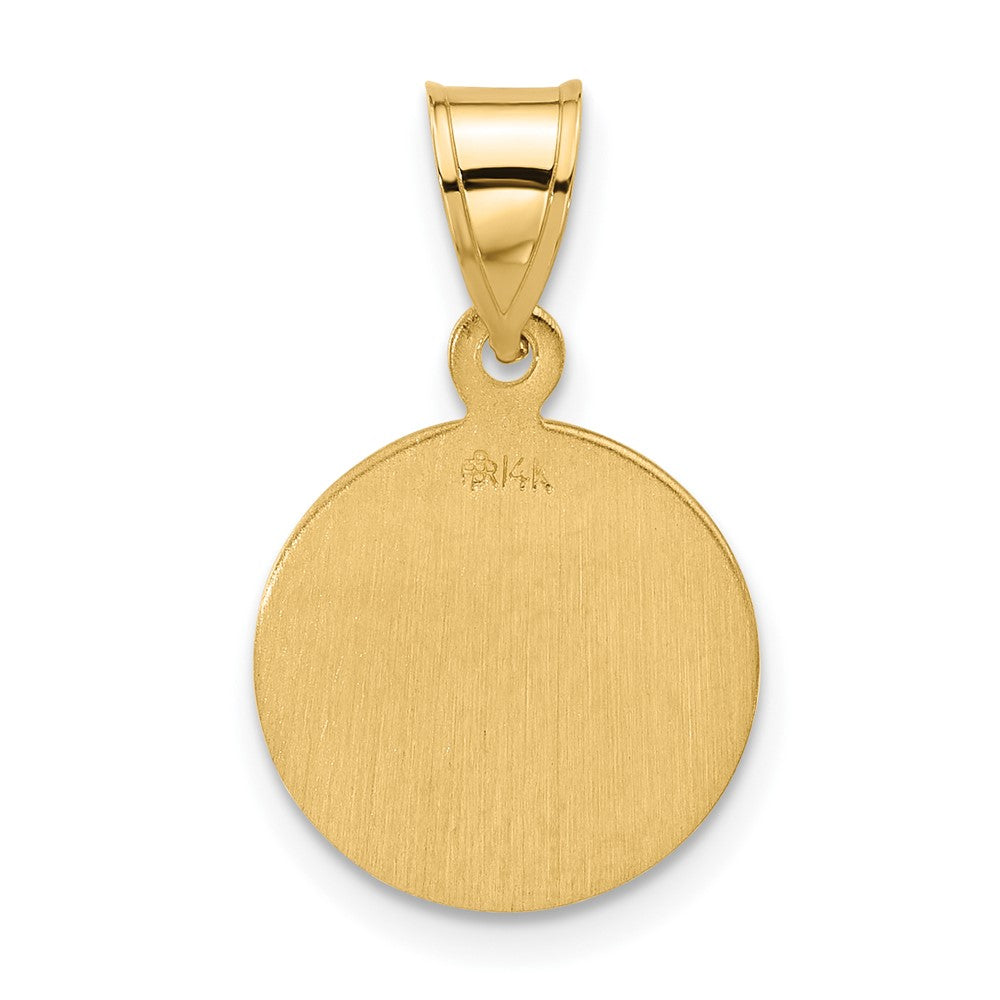 14K Yellow Gold Polished and Satin Solid Miraculous Mary Plain Back Medal