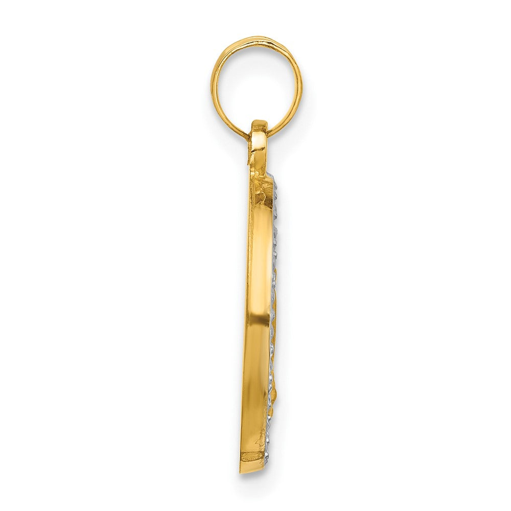 14K Yellow & Rhodium and White Rhodium Hollow Miraculous Mary Plain Back Medal