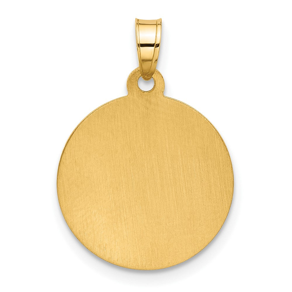 14K Yellow & Rhodium and White Rhodium Hollow Miraculous Mary Plain Back Medal