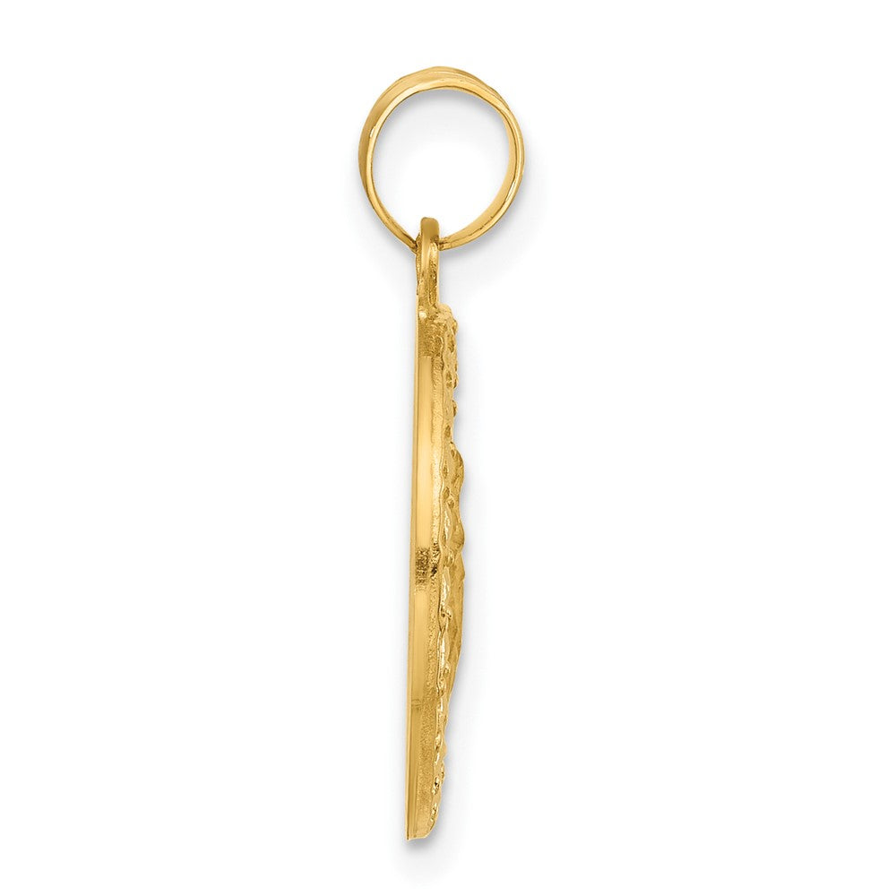14K Yellow Gold Polished Hollow St Anthony Medal