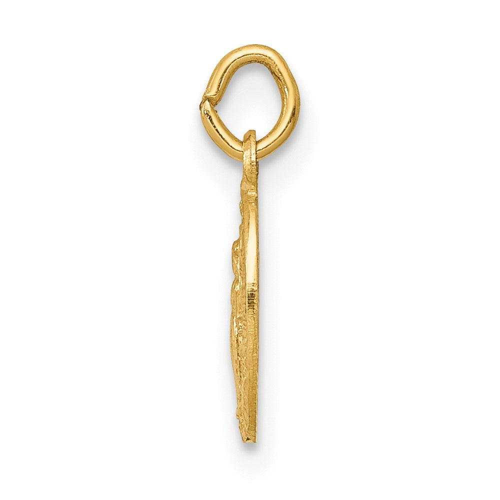 14k Yellow Gold 14k Miraculous Medal Charm