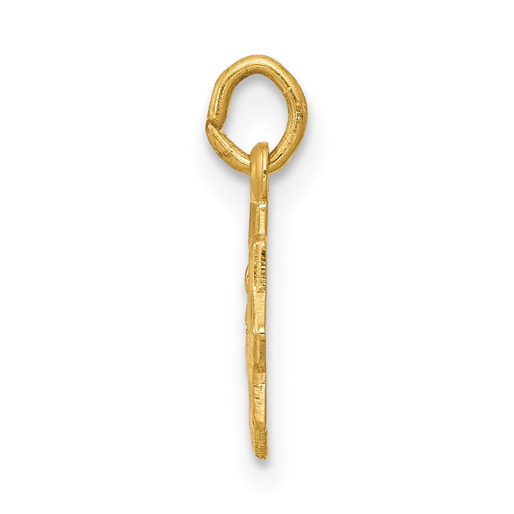 14k Yellow Gold 14k Blessed Mary Charm