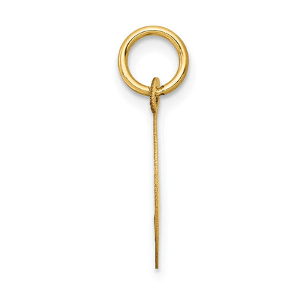 14k Yellow Gold 14k Holy Communion Disc Charm