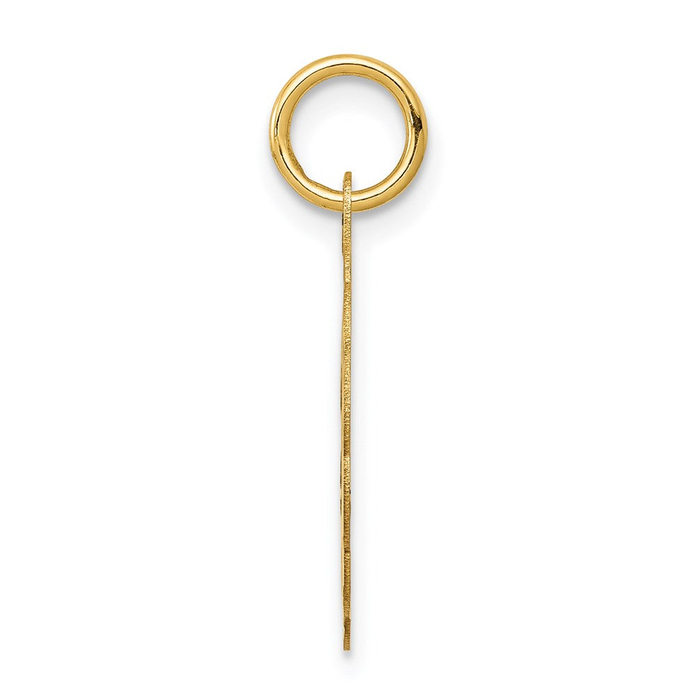 14k Yellow Gold 14k Solid Star of David Disc Charm