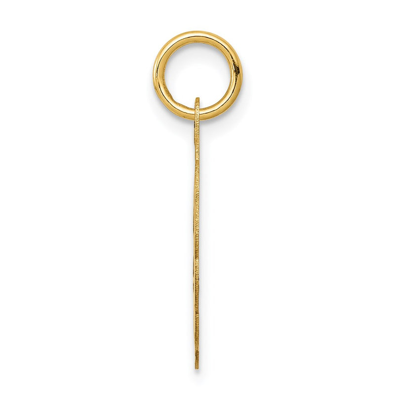 14k Yellow Gold 14k Solid Star of David Disc Charm