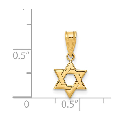 14k Yellow Gold 14k Star of David Pendant