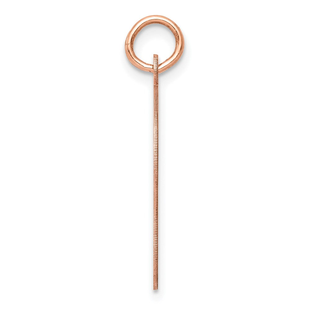 14k Rose Gold 14k Rose Plain Medium.018 Gauge Facing Left Engraveable Girl Head Charm