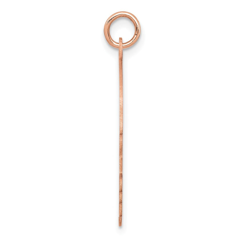 14k Rose Gold Rose Plain Large.018 Gauge Facing Right Engraveable Boy Head Charm
