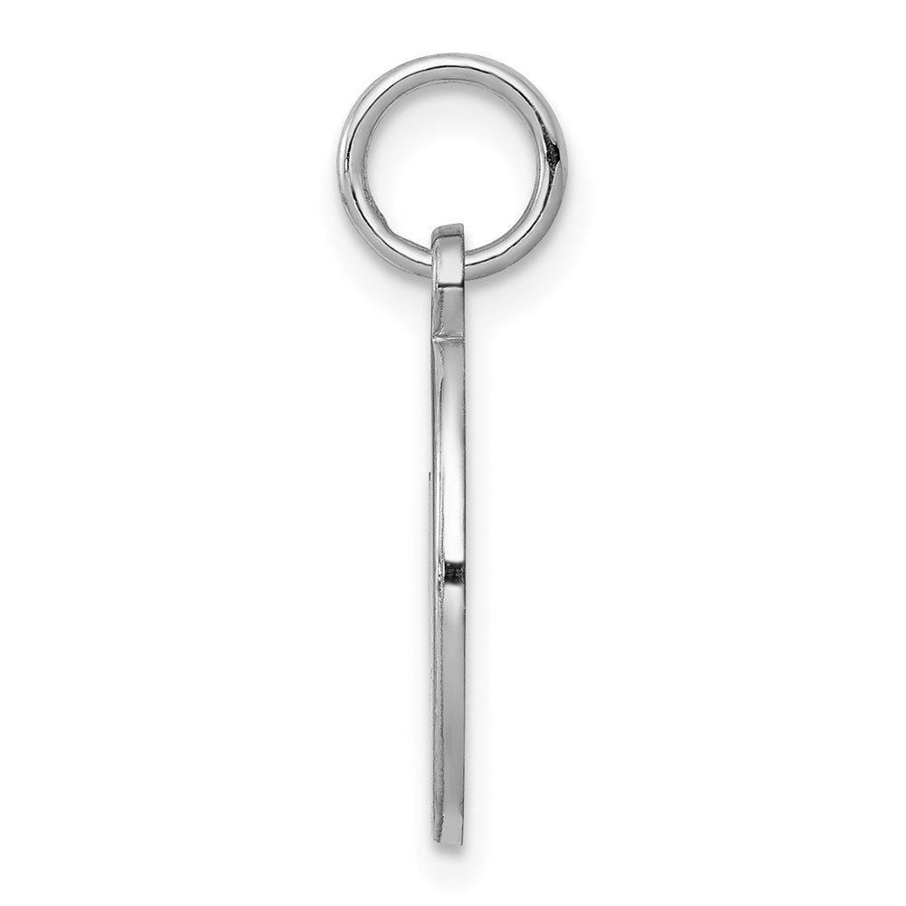 Sterling Silver Rhodium Plated Medical Jewelry Charm