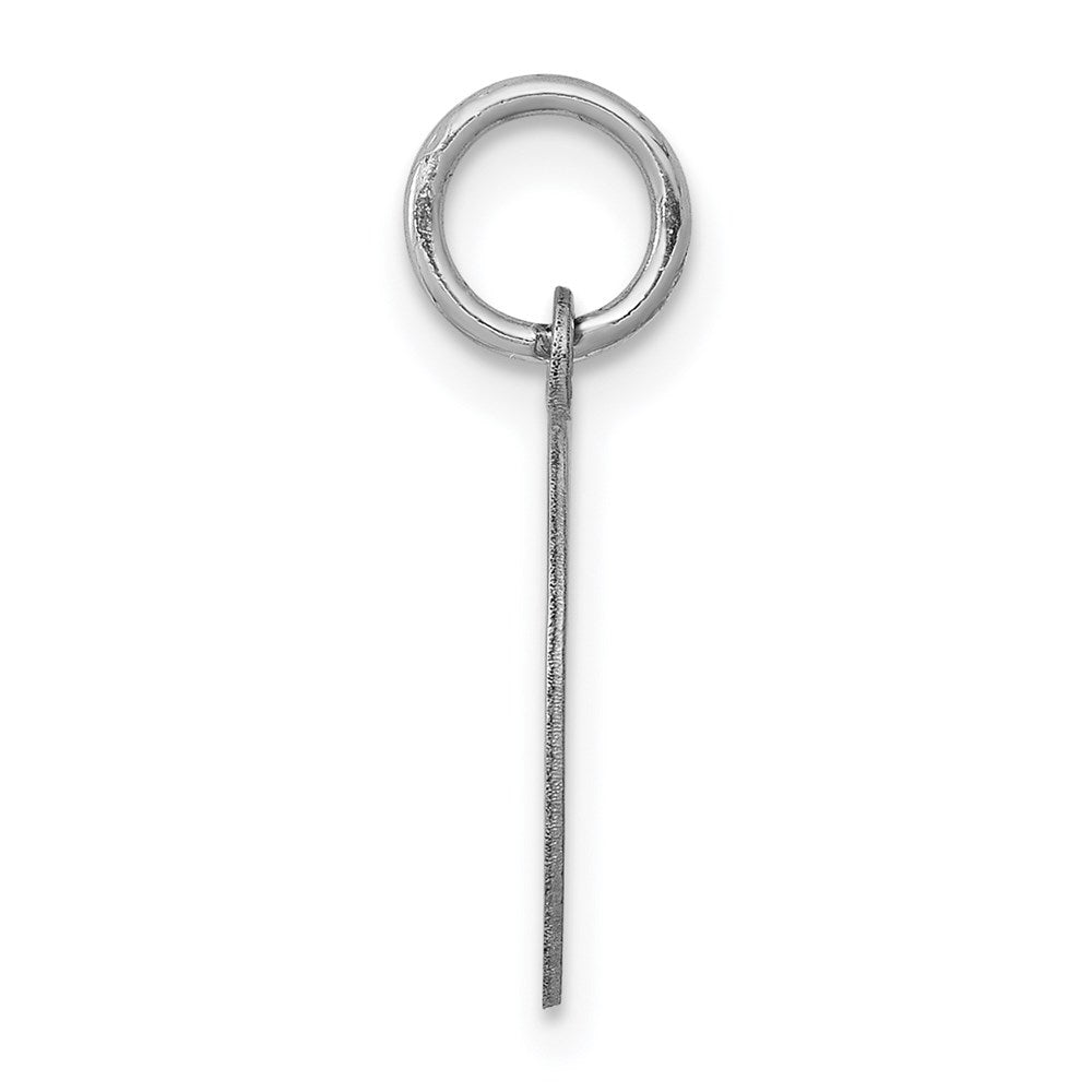14k White Gold Round Disc Charm