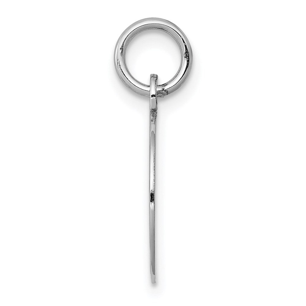 14k White Gold 14k White Gold Etched .018 Gauge Engraveable Round Disc Charm