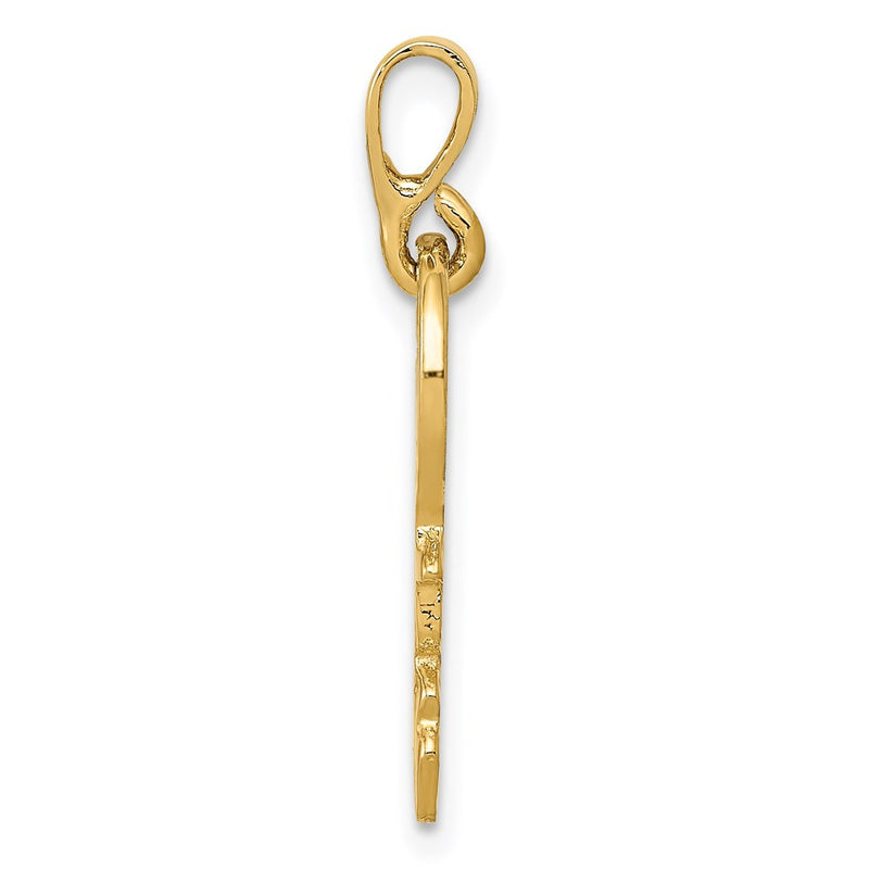 14k Yellow Gold 14K Polished Key Charm