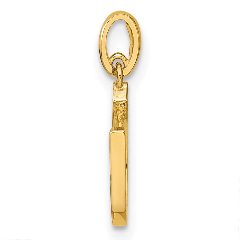 14k Yellow Gold 14k Childrens CZ Horseshoe Pendant