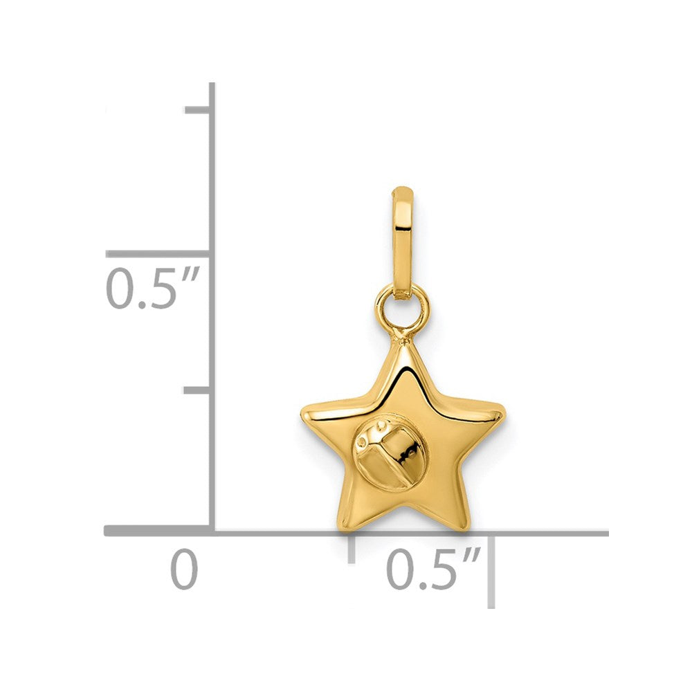 14k Yellow Gold 14k Ladybug on a Star Charm