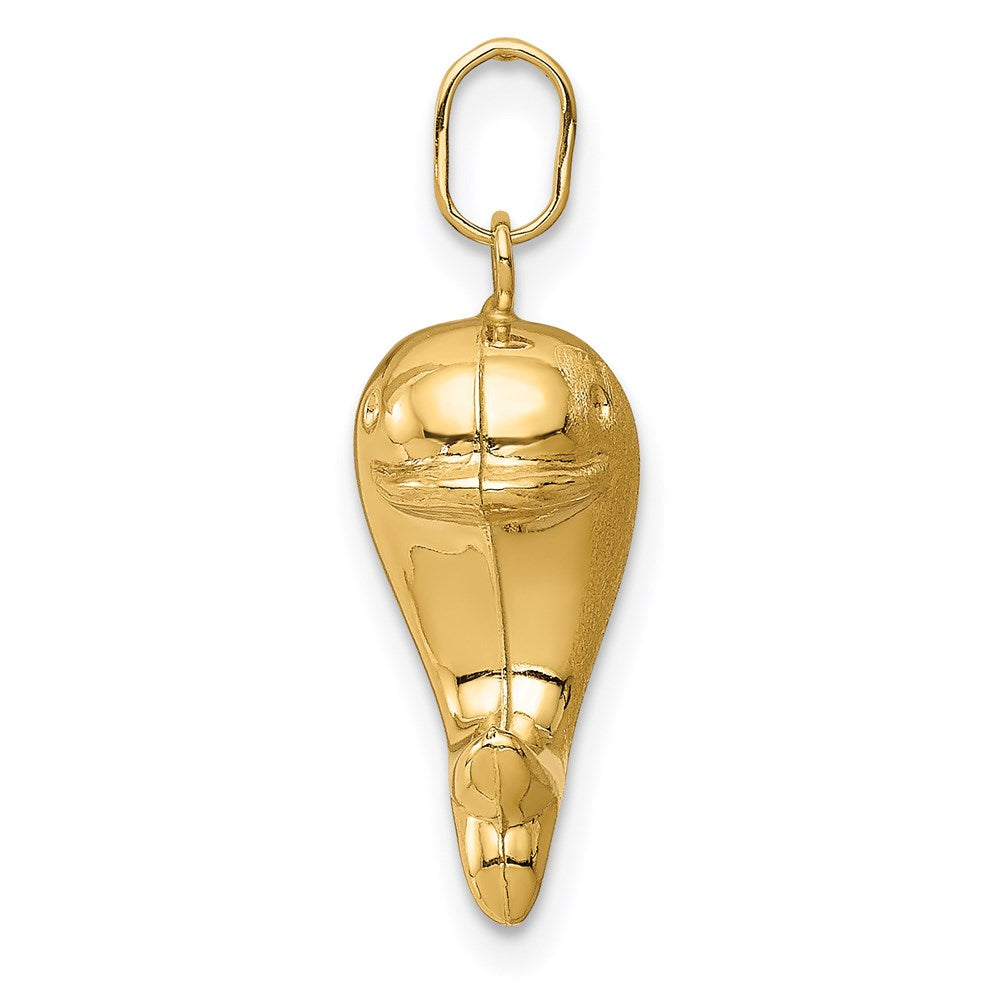 14k Yellow Gold 14k Hollow Satin & Polished Fish Charm