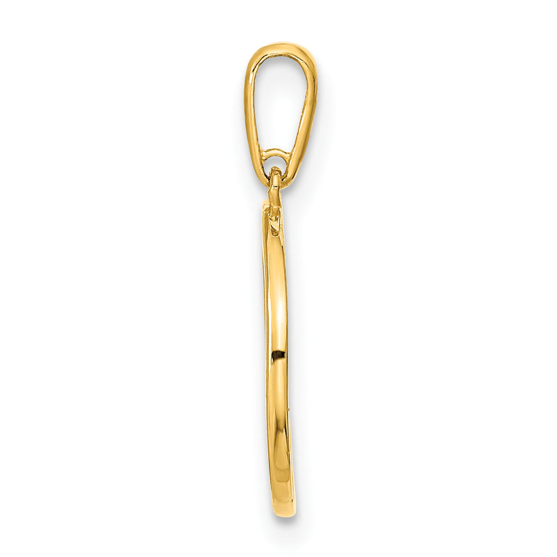 14k Yellow Gold 14K Polished Circle with HOPE Pendant