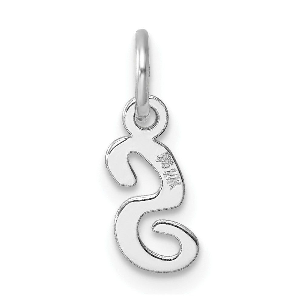 14K White Gold Small Script Letter S Initial Charm