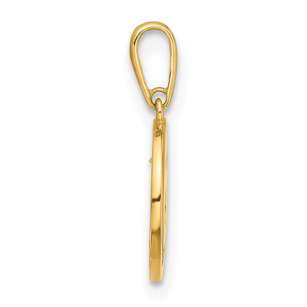 14K Yellow Gold Polished CZ Moon and Stars in Disc Pendant