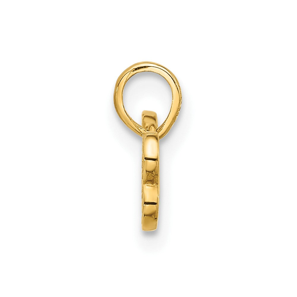 14K Yellow Gold Polished CZ Dog Bone Pendant