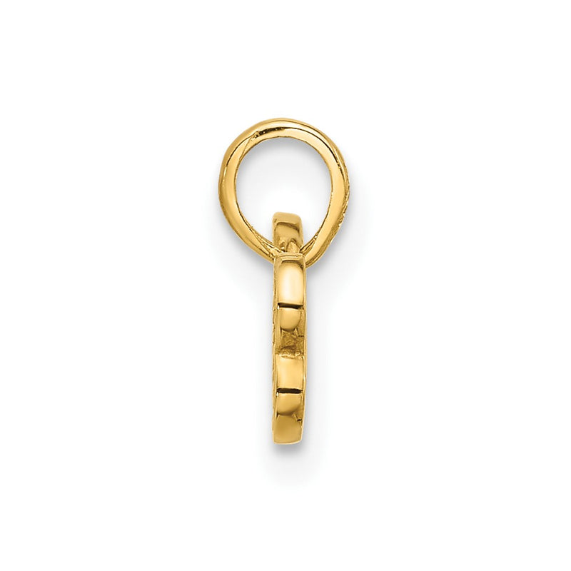 14K Yellow Gold Polished CZ Dog Bone Pendant