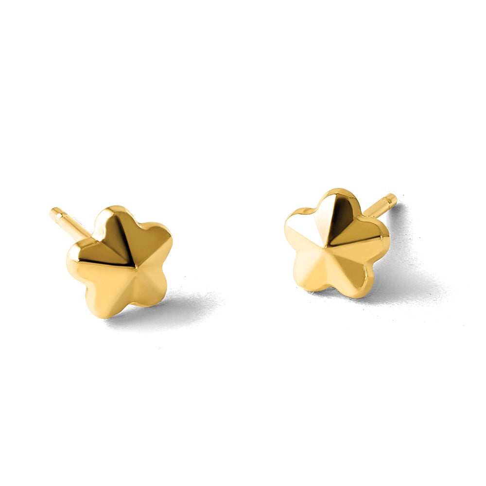 14K Yellow Gold Polished Flower Post Earrings