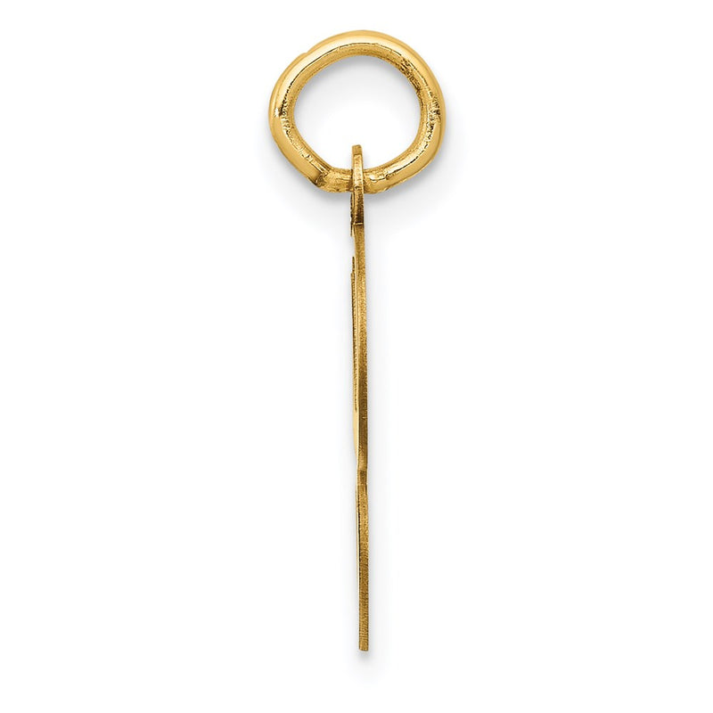14k Yellow Gold 14KY Script Letter G Initial Charm
