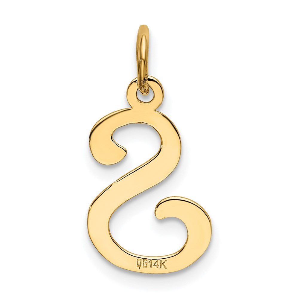 14k Yellow Gold 14KY Script Letter S Initial Charm
