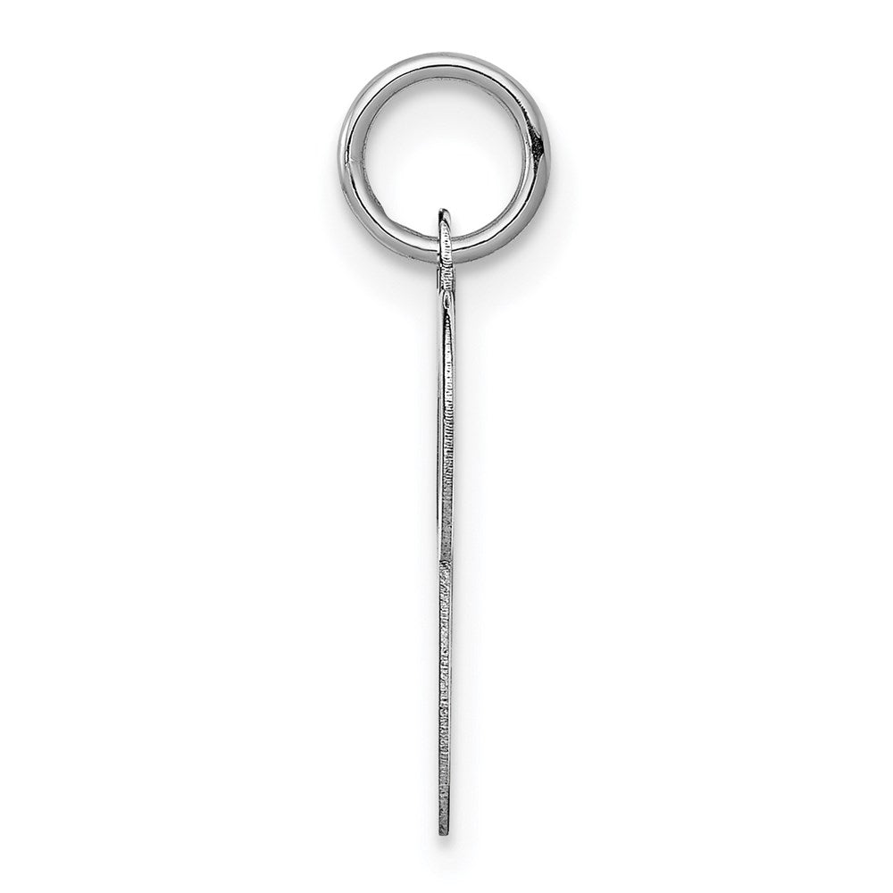 14k White Gold 14KW White Gold Script Letter P Initial Charm