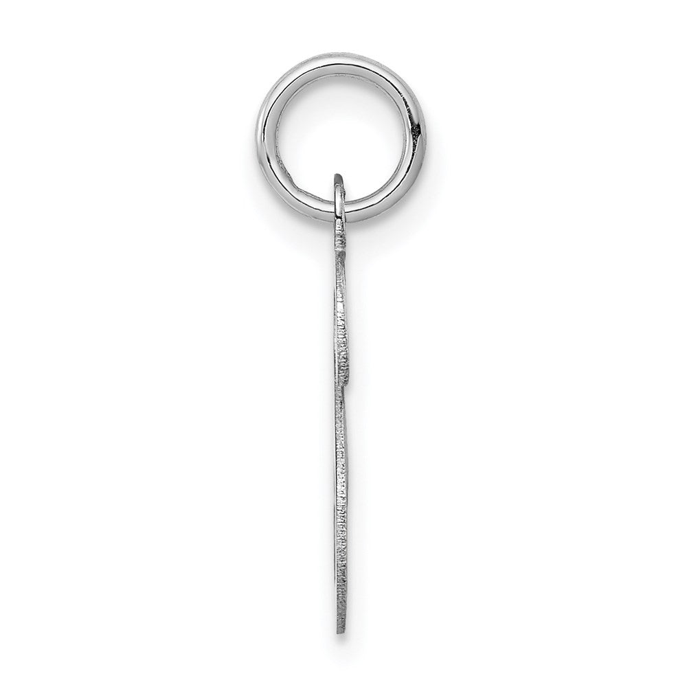 14k White Gold 14KW White Gold Script Letter S Initial Charm