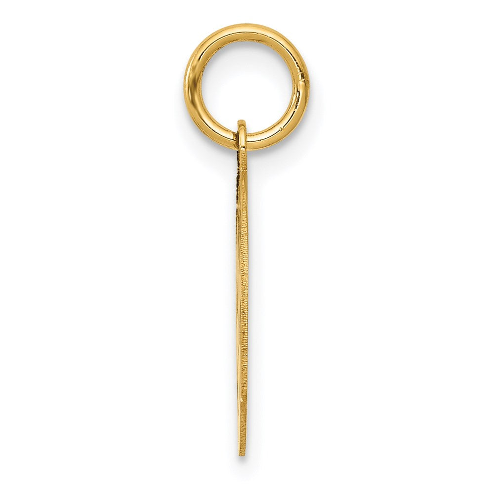 14k Yellow Gold 14k Small PARAMEDIC Medical Charm