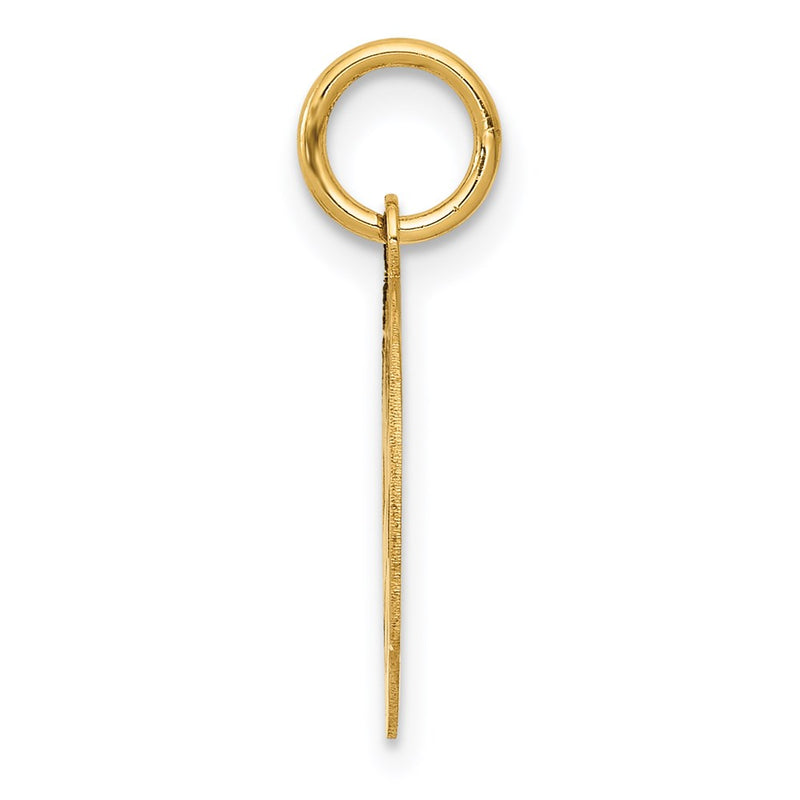 14k Yellow Gold 14k Small PARAMEDIC Medical Charm